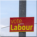 J4981 : Assembly Election Poster, Bangor by Rossographer