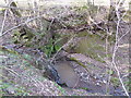 Small waterfall in Lawn Wood