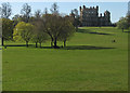 SK5339 : A May morning in Wollaton Park by John Sutton