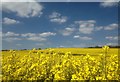 Rape field