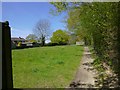 Footpath enters grassy area