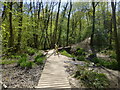 Stream crossing at the bottom of Ghyll Steps