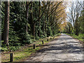 Driveway to Marston Grange