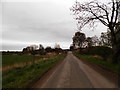 Road to sawmill at Logie