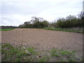 Field and hedgerow near Jendik Farm