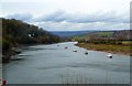 Afon Wysg (River Usk) northeast of Newport