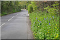 Bluebells, Church Lane