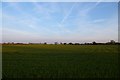 Farmland off Howden Lane