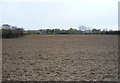 Field south of Station Road, Ormesby St Margaret