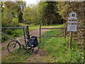 Path into White Down Copse