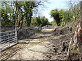 Bridleway near fenced-off lake