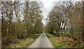 Road heading north through plantations