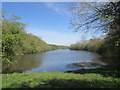 Gouldsmeadow Lake, Welbeck