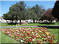 Flower bed in South Park