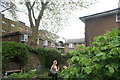 View of the rear of apartments on Sovereign Mews from the Geffrye Museum Herb Garden #2