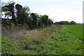 Farmland by the Stanbridge Road