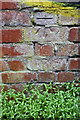 Benchmark on footpath wall behind Belvedere Road