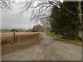 Estate road at Kinnordy Home Farm