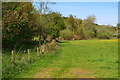 Edge of field near Stuckton