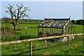 Greenhouse beside the path at North End Farmhouse