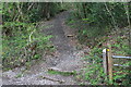 Footpath to Oakdale from the Rhiw