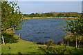 View over lake at Ibsley