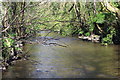 River Sirhowy, below Penmaen