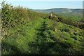 Path on Brinscombe Hill