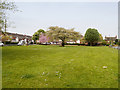 Netherton Village Green