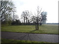 Recreation land towards Caister Water Tower