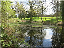 SU6266 : Fish Pond at Ufton Court by Des Blenkinsopp