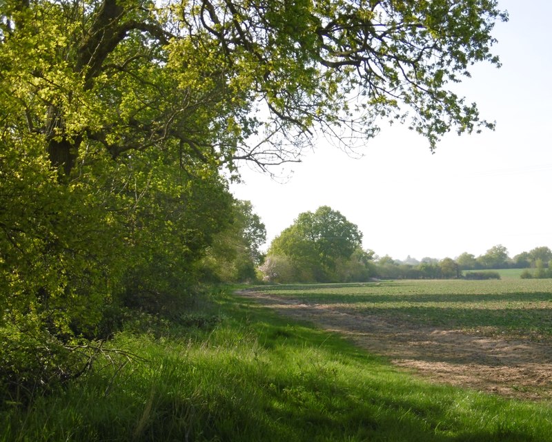 Footpath leading off Pebmarsh Road © Marathon :: Geograph Britain and ...