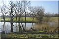 Pond, Marden Meadow Nature Reserve