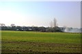 Farmland, The Beult Valley