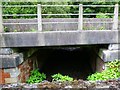 Railway Bridge, River Aire, Newlay, Leeds