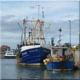 NU2232 : Fishing boats moored in North Sunderland Harbour, Seahouses by Robin Drayton