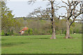 Fields near Albury Mill