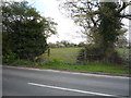 Field entrance off Hall Lane