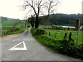 Minor road, Ballaghneed / Fogart