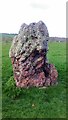 ST5963 : Ring stone at Stanton Drew by PAUL FARMER