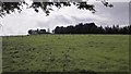 Fields near Trumps Farm