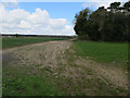 Field near Thorpe Farm