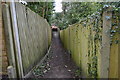 Footpath into Westcott