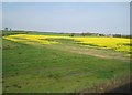 View from a Newcastle-Edinburgh train - farmland near Catchburn