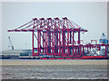 SJ3295 : Liverpool 2 Container Terminal by Chris Allen