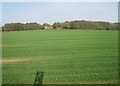 View from a Newcastle-Edinburgh train - towards Ulgham Lane