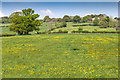 Field north east of Hidcote Road