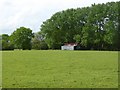 Shed and field near Frightsbridge Farm