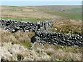 A kink in the intake wall, Wadsworth