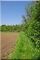 Path from New Hall Lane